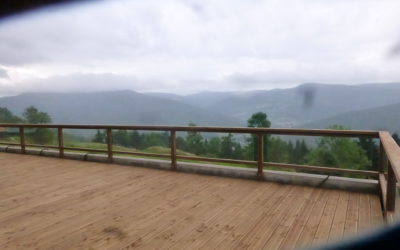 Création d’une terrasse en bois à Nancy